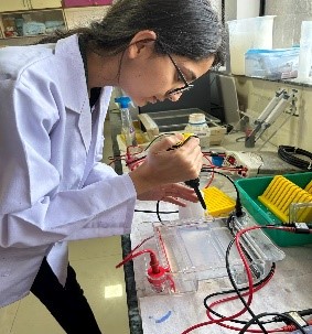 Photo of Ms. Madhu Yada